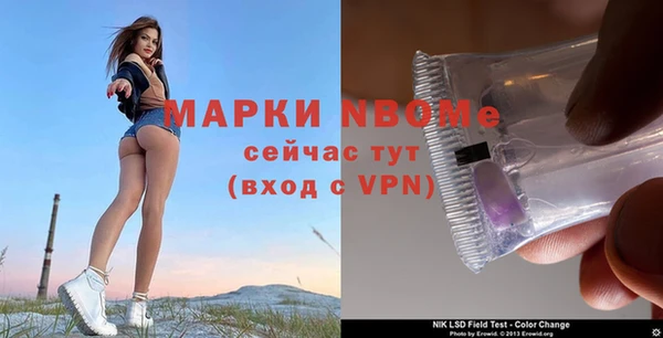 кокс Алексин