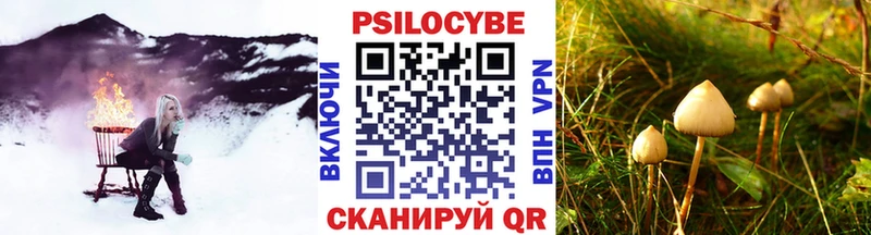 Псилоцибиновые грибы мухоморы  blacksprut зеркало  Еманжелинск  как найти закладки 