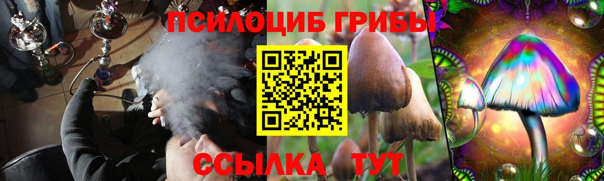Еманжелинск  Галлюциногенные грибы ЛСД  Вход с VPN 